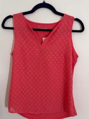 Coral Pink Textured Dot V-Neck Top
